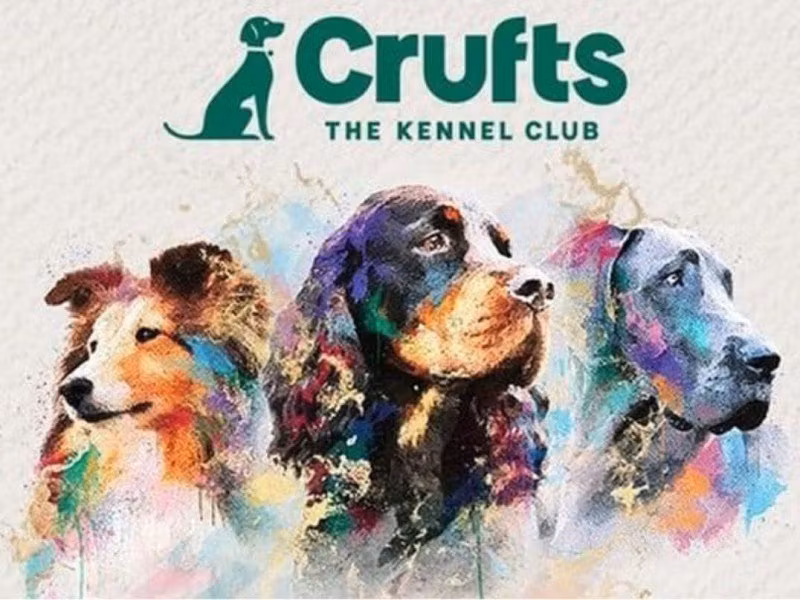 CRUFTS, HERE WE COME