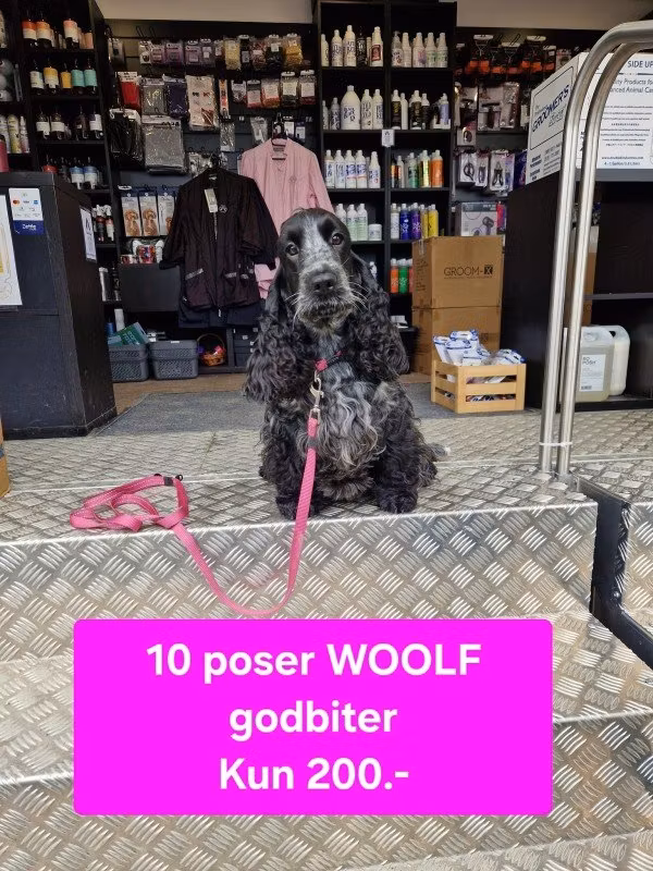 Woolf 10 stk kun 200.-
