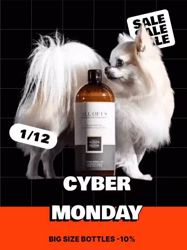 CYBER MONDAY