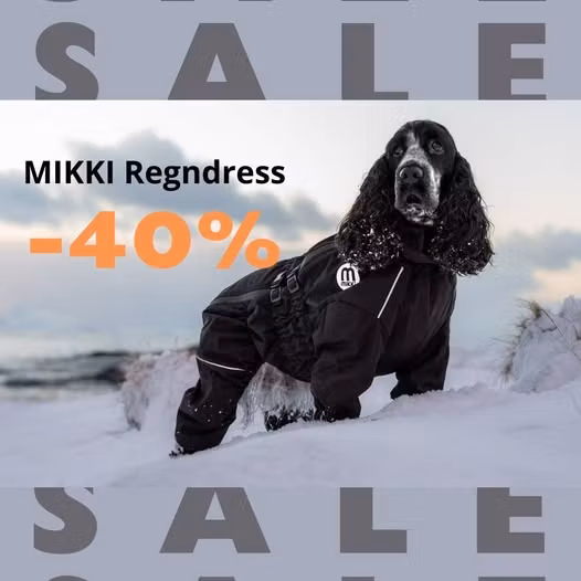 VÅRSLAPSET KOMMER...