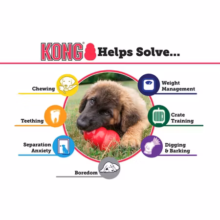 Kong Puppy Blå XS-L