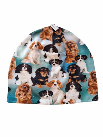 Lue Cavalier M