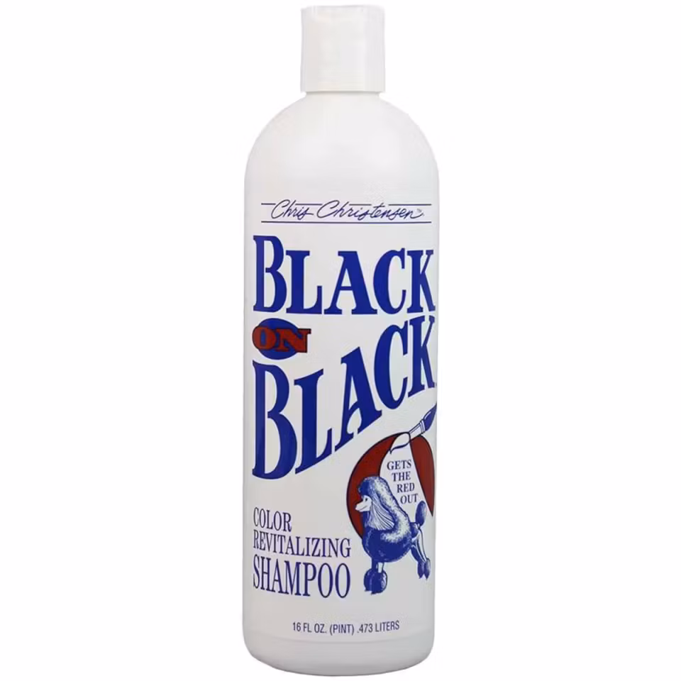 Black On Black Shampoo