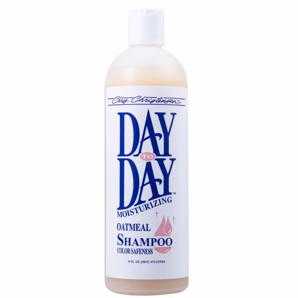 Day To Day Moisturizing Shampoo