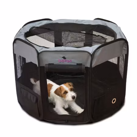 IBANEZ Valpepark M (D:91cmxH:55cm