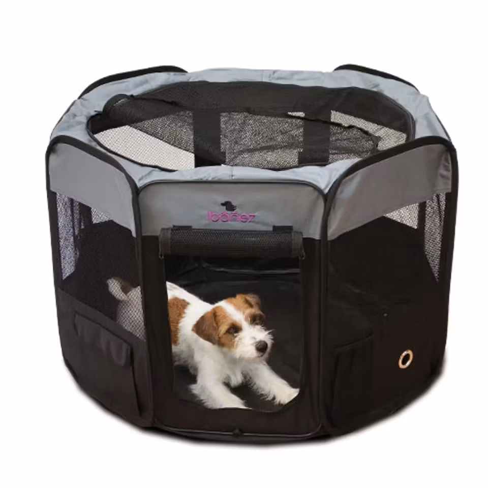 IBANEZ Valpepark L (D:117cmxH:58cm)