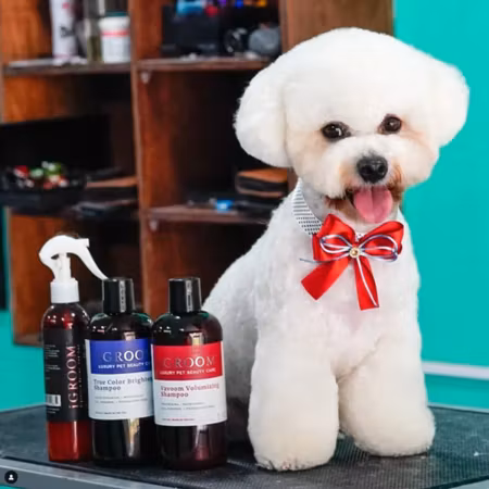 True Color Brightening Shampoo 473ml