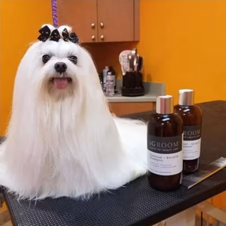 Charcoal + Keratin Shampoo 473ml