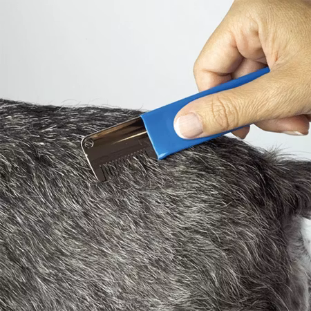 Ibanez Trimmekniv buede japanske kniver Blå Grov