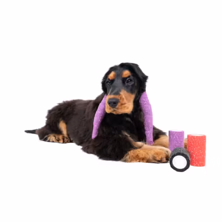 ShowTech - Self-Cling Bandage Glitter 4.5 m x 7.5 cm