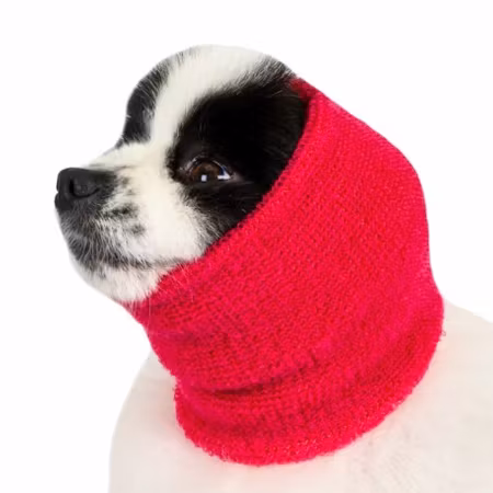 Show Tech Ear Buddy Fønørehette Pink S