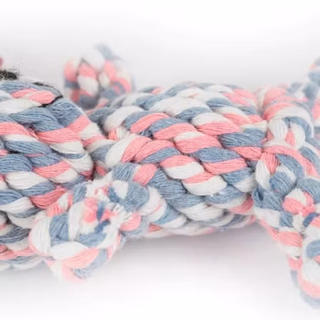 Ibanez  Wind Up Animals Bear 14cm