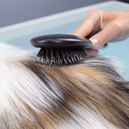 Ibanez Bristles and Nylon Brush