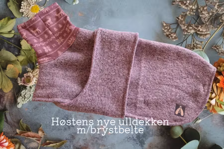 Ulldekken støvet lyng med bryst/magebelte S
