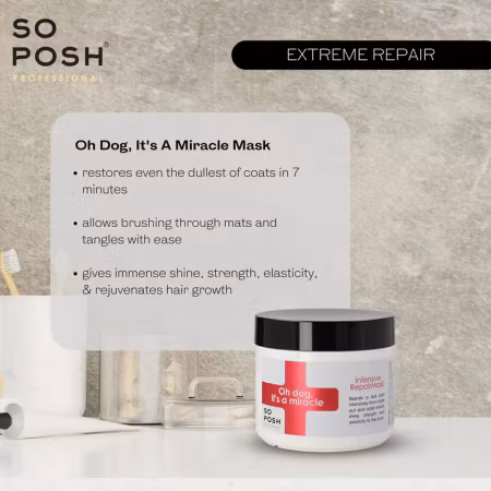 Oh Dog, It's a Miracle Mask 500ml