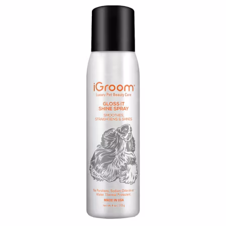 Gloss It Spray 118ml