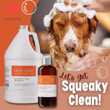 Squeaky Clean Shampoo 3,78l