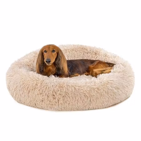 Ibanez Donut Caress Seng (Beige)