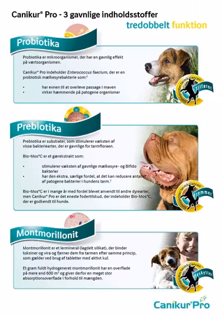 Canikur Pro Oral Pasta 30ml