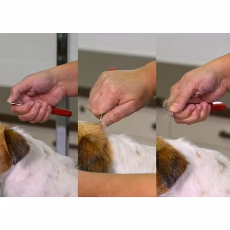 Show Tech Trimmekniv m/treskaft