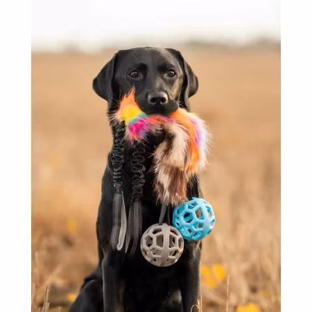 Play-n-tug Unicorn With Ball 65cm