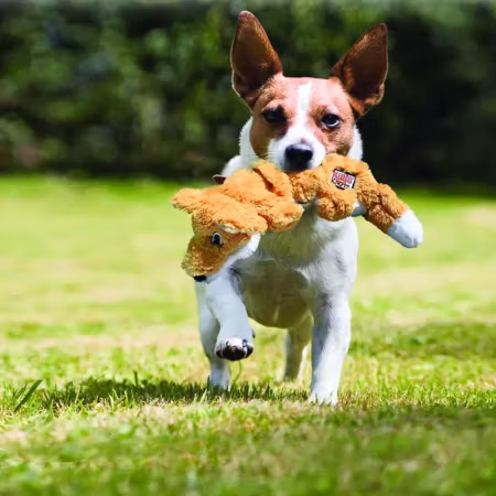 Kong Scrunch Knots Fox