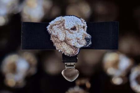 Nummerlapp holder ermstrikk med Golden Retriever