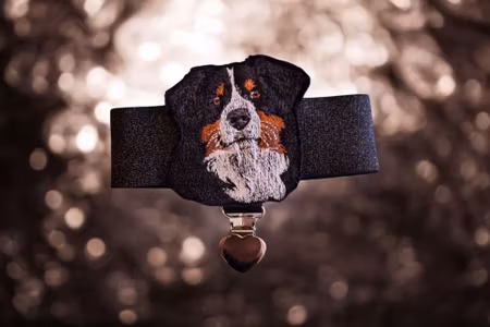 Nummerlapp holder ermstrikk med  Berner Sennen