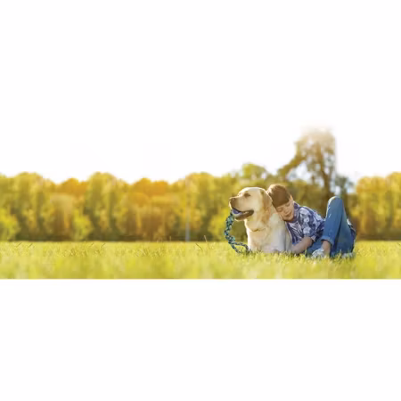 Zs K9 Rope Tug Withtennisball 43cm