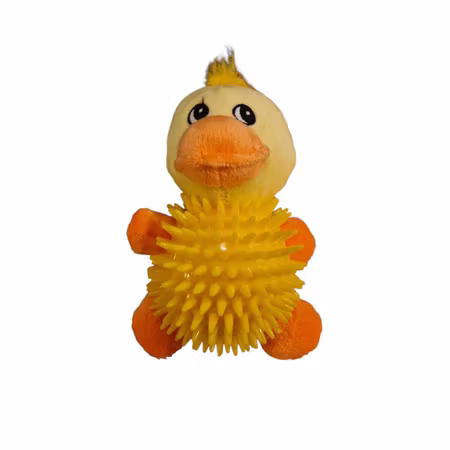 Ibanez Duck Stuffed dog toy and rubber ball with spikes