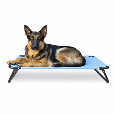 Ibanez Opphøyet sammenleggbar hundeseng Blå XL 105x65cm