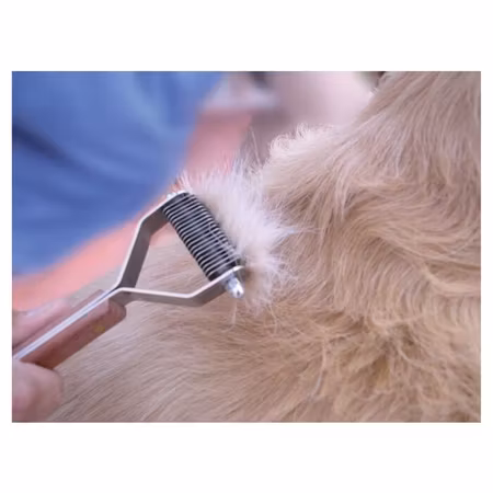 Show Tech Speed Stripper Coarse - 8 blades Deshedding Tool