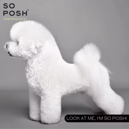 So Posh I'm So Puffy 1L. (Volume Conditioner)