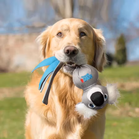 Kong Wubba Zoo Koala L 37x13x9cm