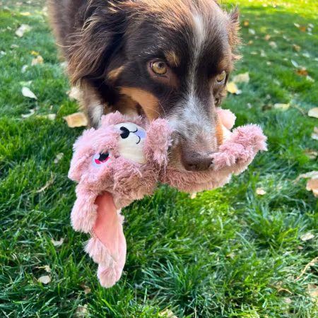 Kong Scrumplez Bunny M 20x28x7,5cm