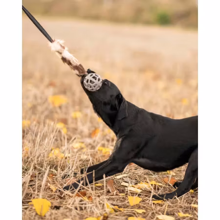 Ozami Play-n-tug Faux Furwith Ball 65cm