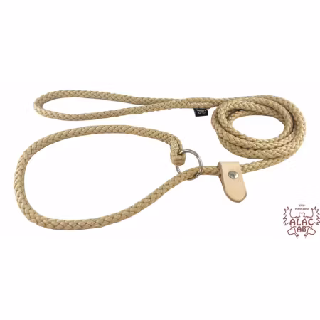 Alac Koppel Utställning Retriever Ring & Stopp Guld