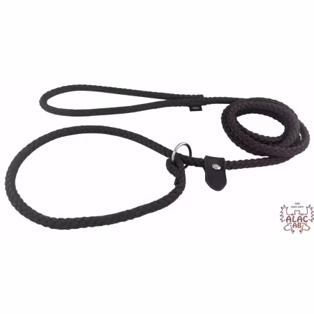 Alac Koppel Utställning Retriever Ring & Stopp Brun