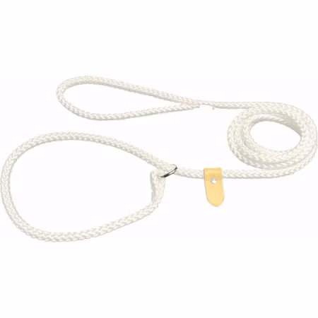 Alac Koppel Utställning Retriever Ring & Stopp Hvit