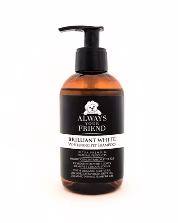 Always Your Friend - Brilliant White Shampoo, 250ml