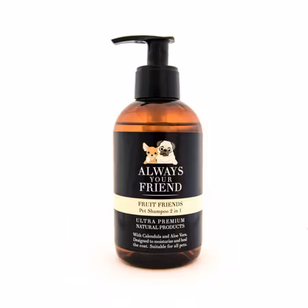 Always Your Friend - Fruit Friends Shampoo 2 in 1, 250 ml