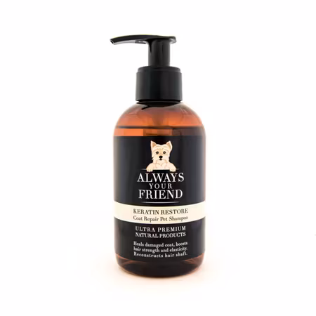 Always Your Friend - Keratin Restore Shampoo, 250 ml