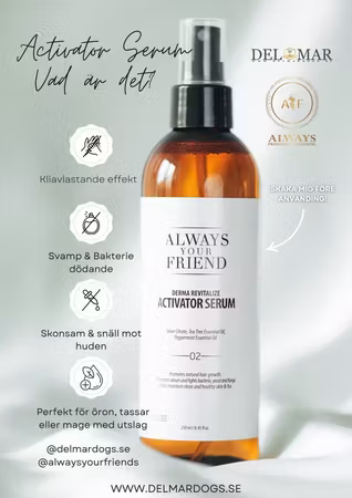 Always Your Friend Derma Rivitalize Activator Serum 235 ml