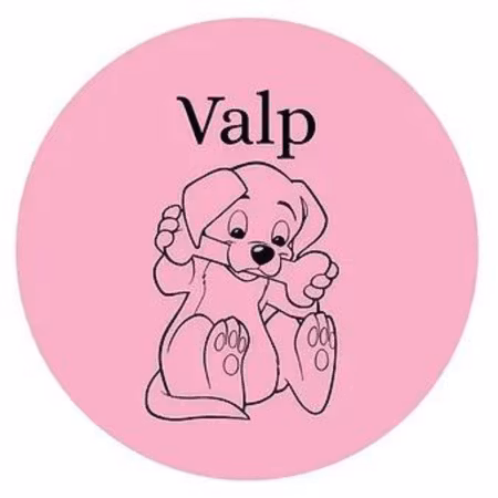 Valp