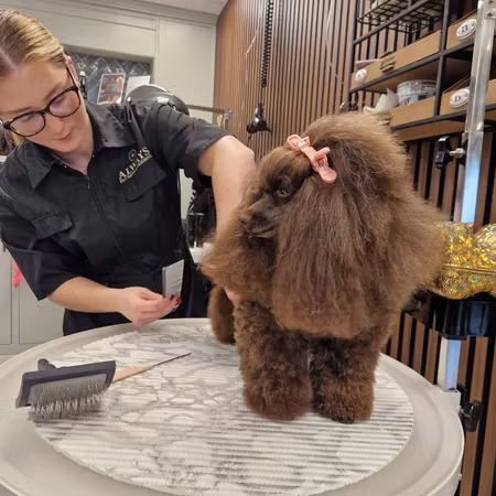 MILLOR DOG - HAIRCLIPS YELLOW 2PCS