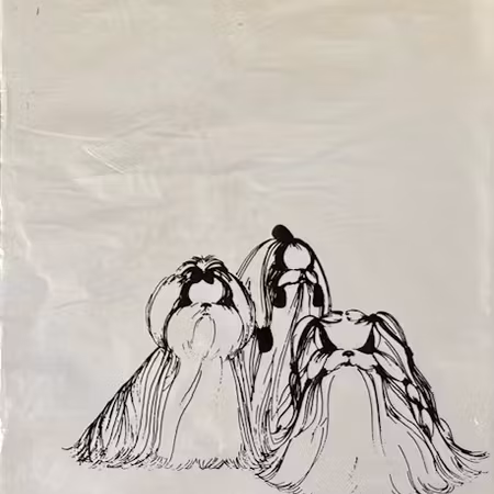 Lainee Plastic Paper Wraps, White