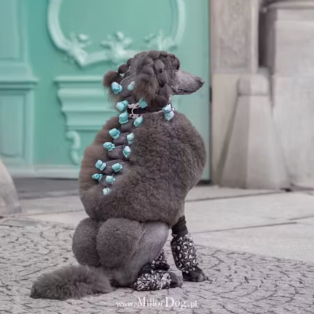 MILLOR DOG - WRAPS TP FOIL BLUE 100stk