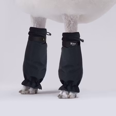 MILLOR DOG - PROTECTORS BLACK KORTE 4pk 55-58cm