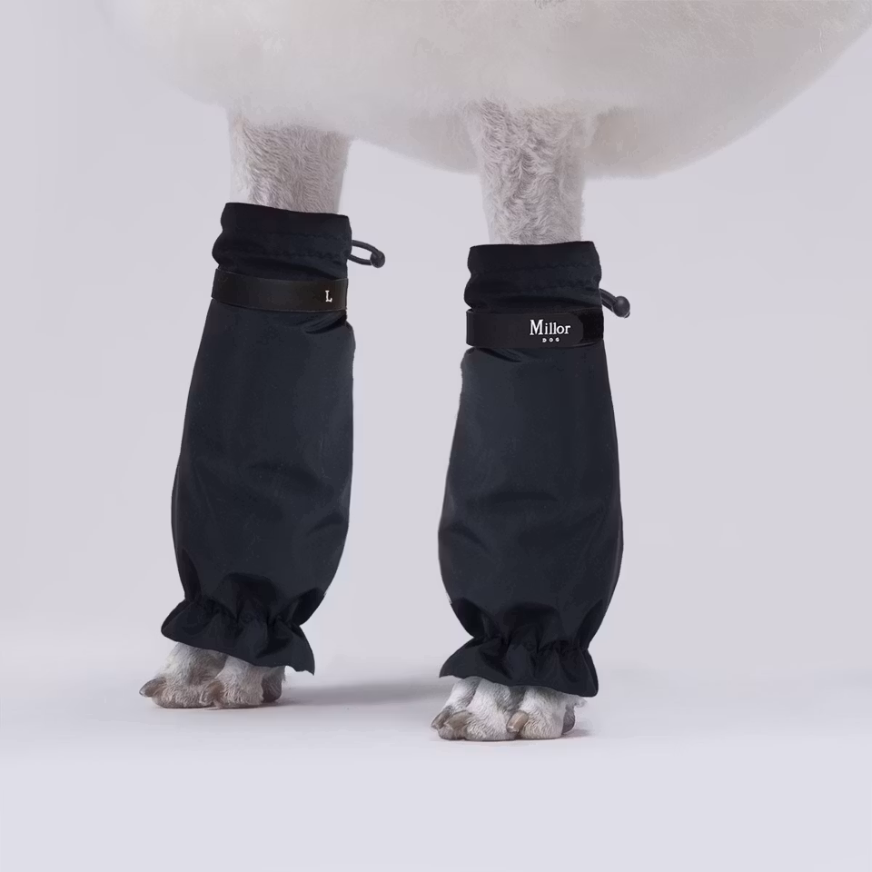 MILLOR DOG - PROTECTORS BLACK KORTE 4pk 62-65cm