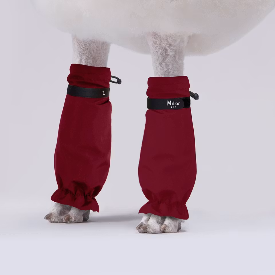 MILLOR DOG - PROTECTORS CHERRY RED KORTE 4pk 55-58cm